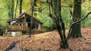 Forest of Dean Holiday Lodges in Gloucestershire