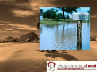 Need Water Extracted in Schaumburg Illinois?