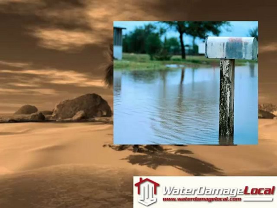 Need Water Extracted in Schaumburg Illinois?