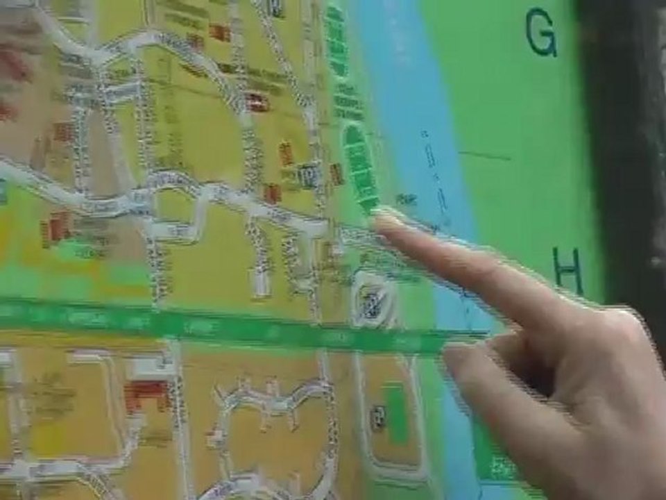 Au pays des Coccinelles