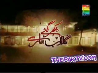 Nikhar Gae Gulab Sare Episode 4 By HUM TV - Part 1/2