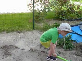 La traque aux fourmis