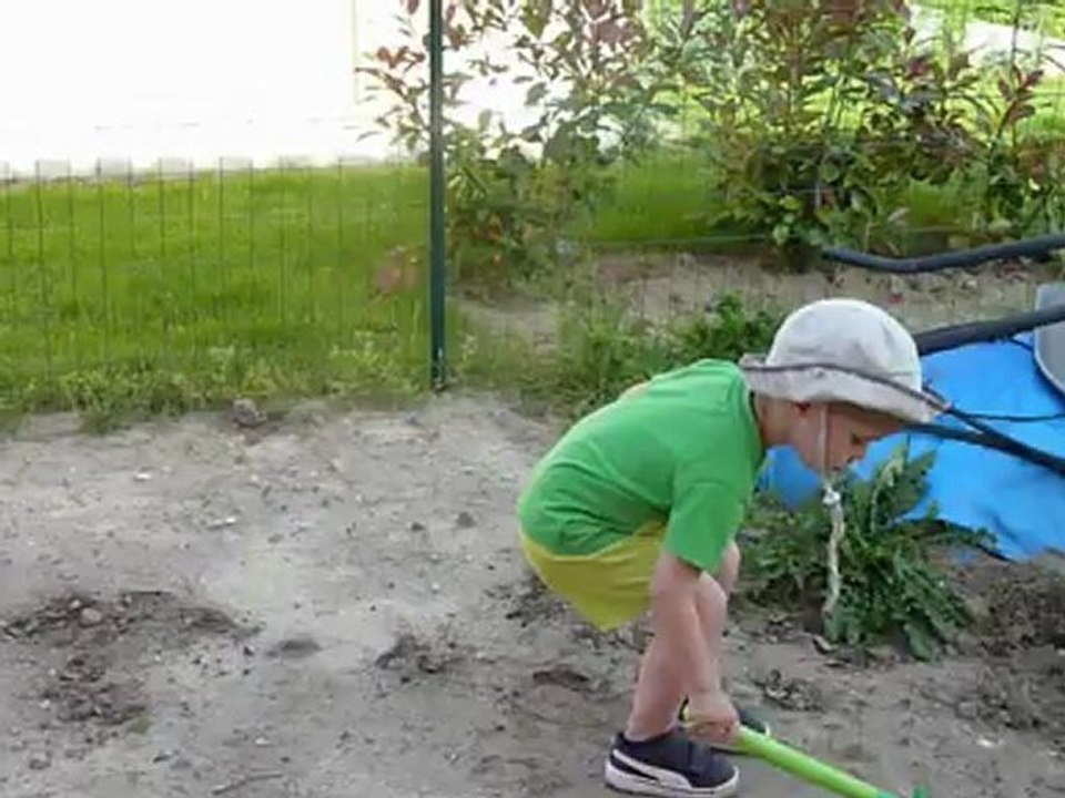 La traque aux fourmis