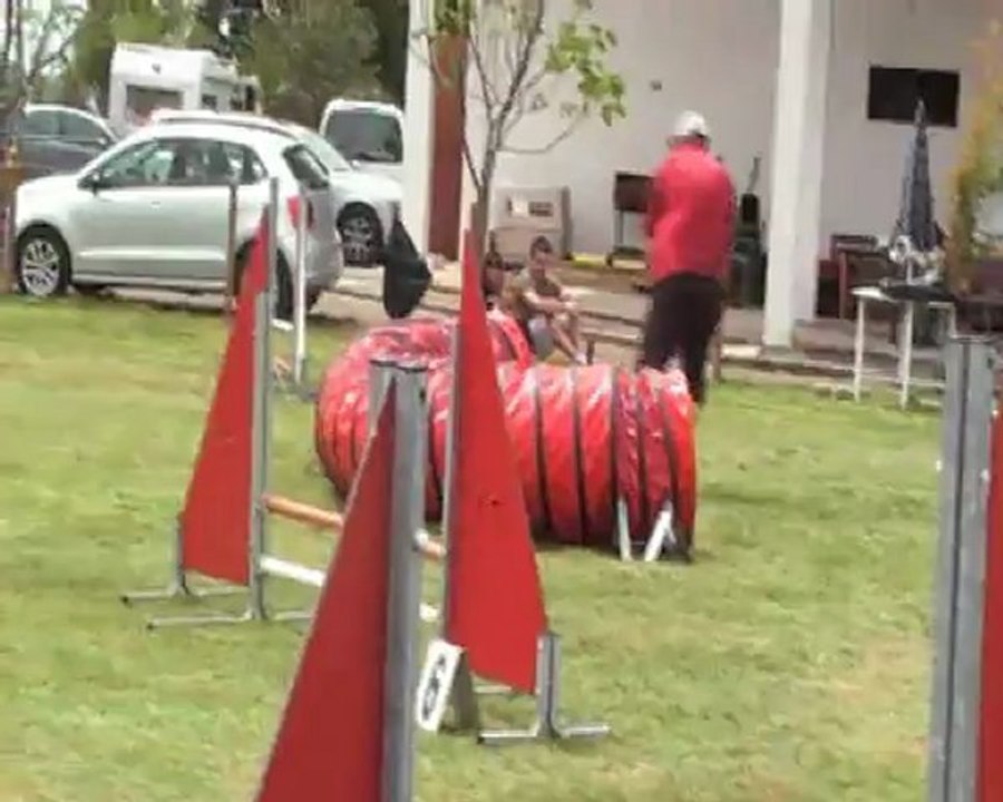 CONCOURS AGILITY  PARENTIS 170512 COOKY JF