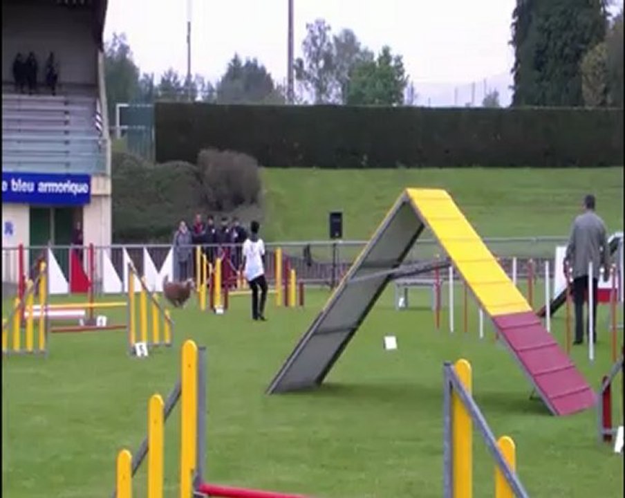 agility 1ére manche les martyrisés SDV_0006_Edited
