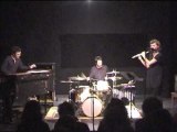 Sylvaine Hélary Trio - 