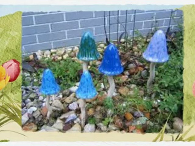 Mushroom - Psilocybin Mushrooms & Spirituality