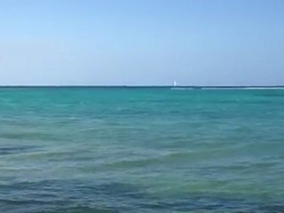 Le lagon de la Villa Carib de Prestige en Guadeloupe