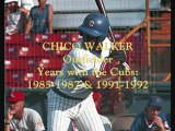 The African-American Presence in Baseball - Chicago Cubs