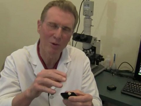 Porcelain Crowns: Is there a Difference? | Holistic Dentist