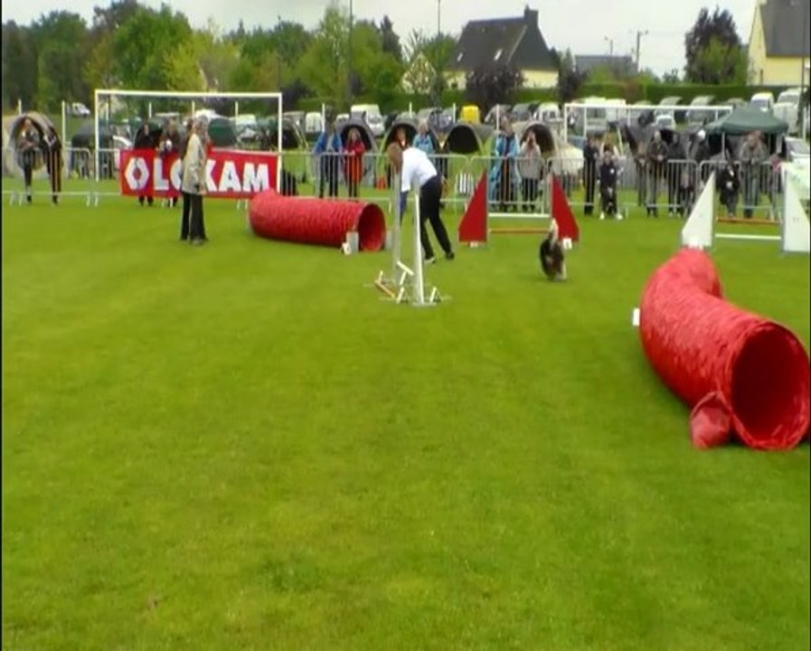 Jumping 1ère manche ty zef