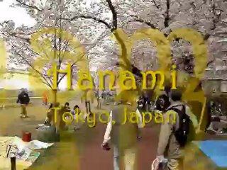 Hanami Japan