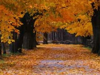 Download Dragon's Dogma for free XBOX360 PS3