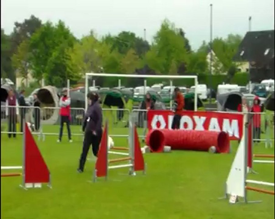 trophée par équipe Ploërmel 2012 jumping 2ème manche shet'russels