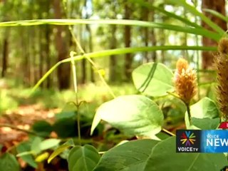 Voice News ประจำวันที่ 22 พ.ค. 55 (12.00 น.) : ไม่มีการเมืองแทรกปลด ปิยสวัสดิ์