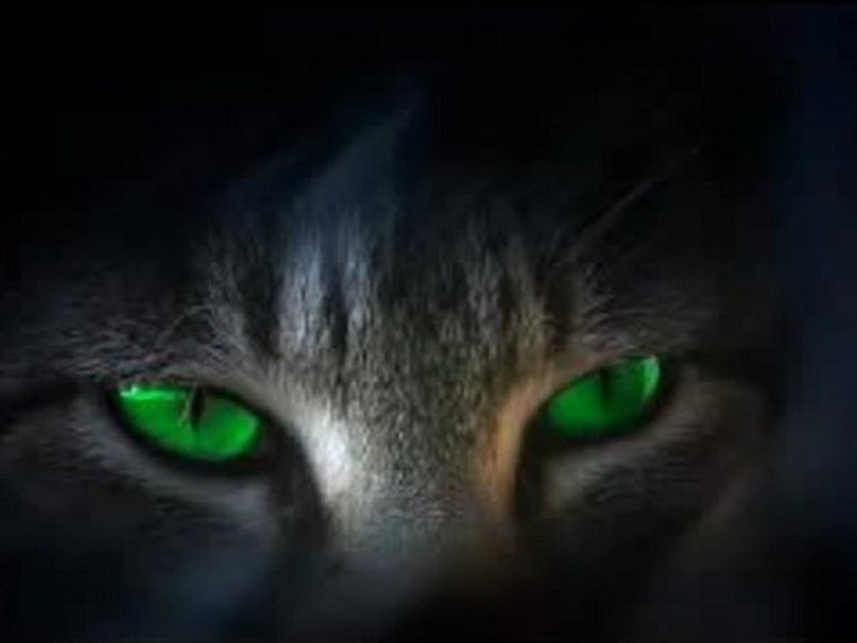 Enigma Principles of Lust Feat Catan Cats in The Night (Remix)