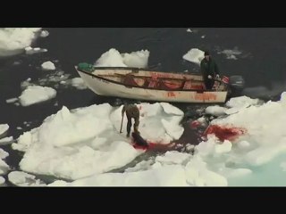 Joel Haake Productions -ALF-  Fighting The REAL Terrorists