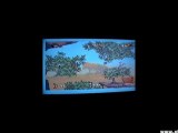 Gameplay_ Jungle Book - Sega Mega Drive