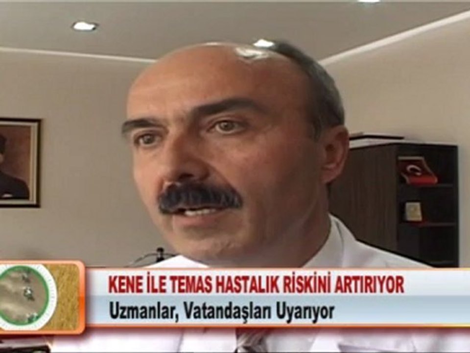KENE İLE TEMAS HASTALIK RİSKİNİ ARTIRIYOR 21.05.2012