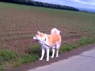 Tsankha rappel par positionnement