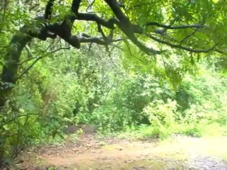 Kings Lords Point, Matheran