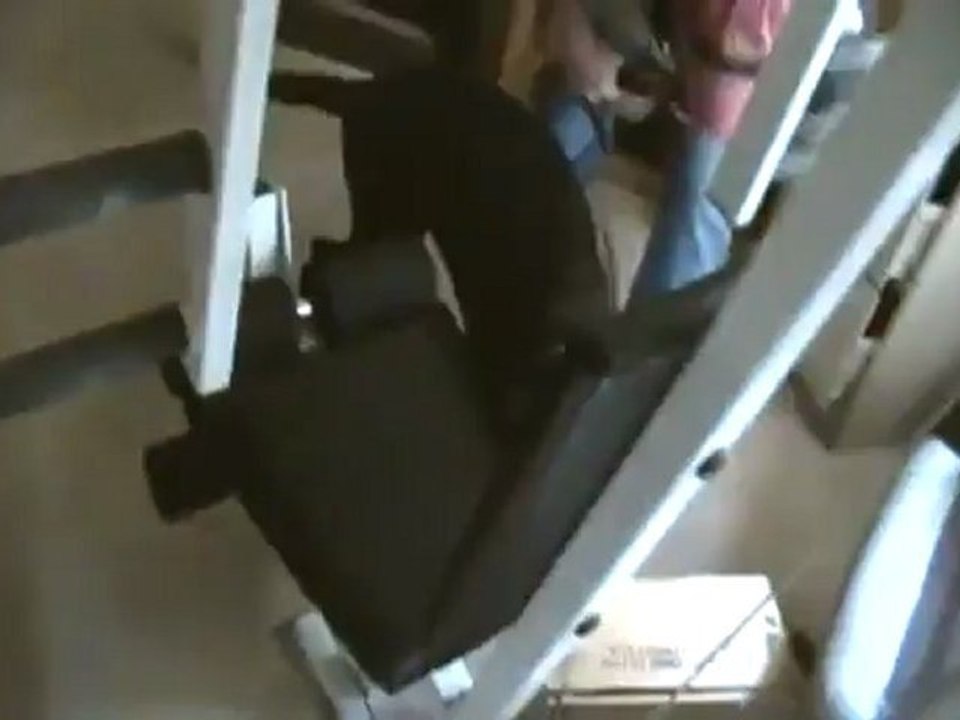 Training a Bed Bug Sniffing Dog Live | Bed Bug Detection Dog