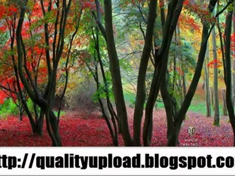 World of tanks Tech Tree Unlocker ' Hack Cheat ' FREE Download May 2012 Update