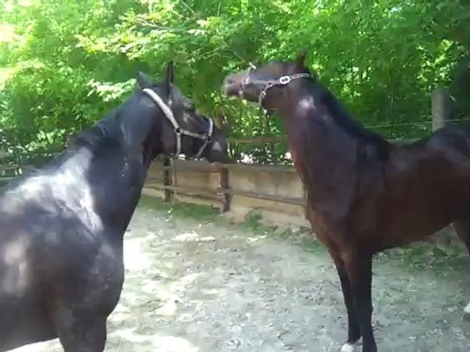 video-2012-05-22-12-31-40