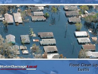 Eustis Flood Clean Up - Mold & Water Removal