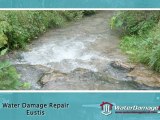 Eustis Water Damage Repair - Rotted Wood & Mold Removal