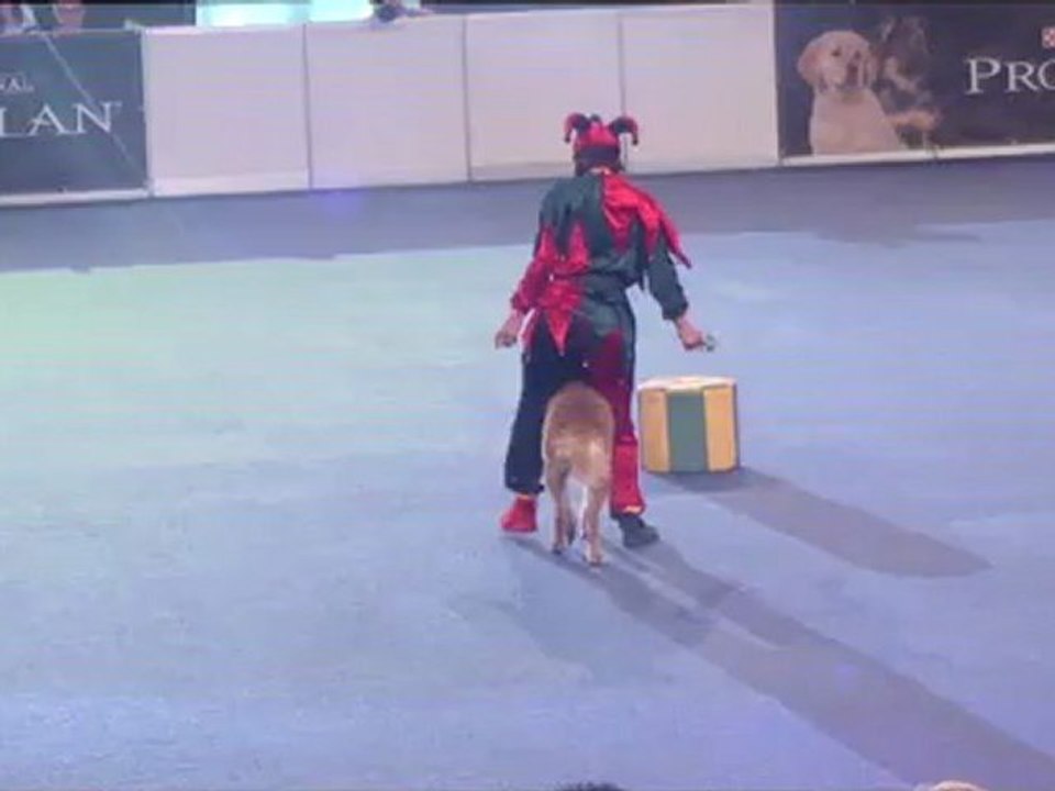 20120519111322