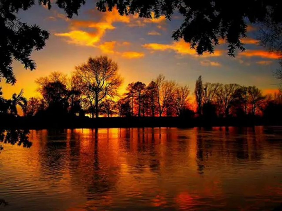 Lise Carriére  l'amour que j'ai pour toi