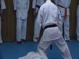 Jujitsu Rollin Philippe