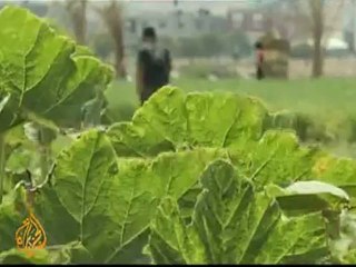 Gazans squeezed by Israeli buffer zone - 08 Jul 09