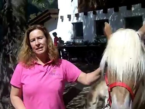 Fohlen Reiten Golf Wellness Hotel Andreus Südtirol