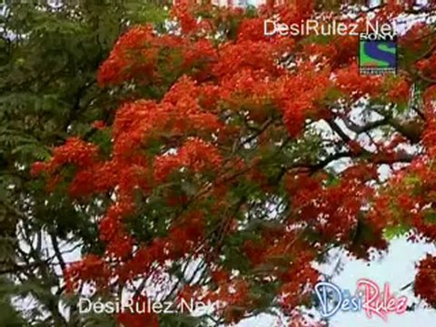 Saas Bina Sasural 22nd May 2012 Pt-3