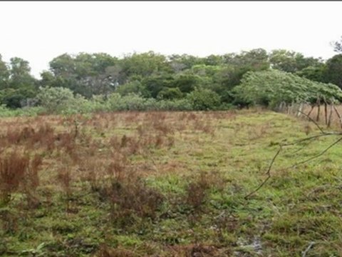 Lotes de Terreno Por Carros en La Esperanza