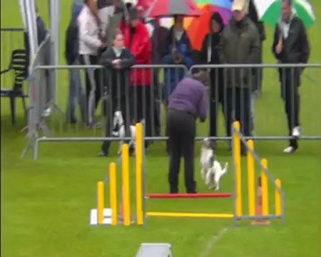 Agility trophée par équipe Ploërmel 2012 Agility 2ème manche les shet'russels