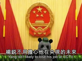 China anti-foreign sentiment fanned by CCTV host Yang Rui
