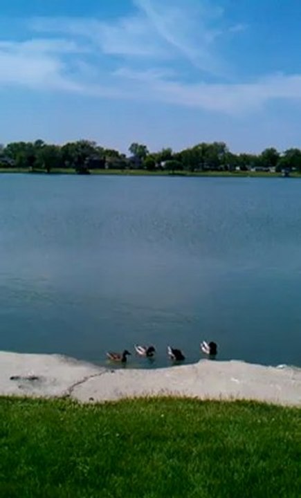 Ballade au lac.