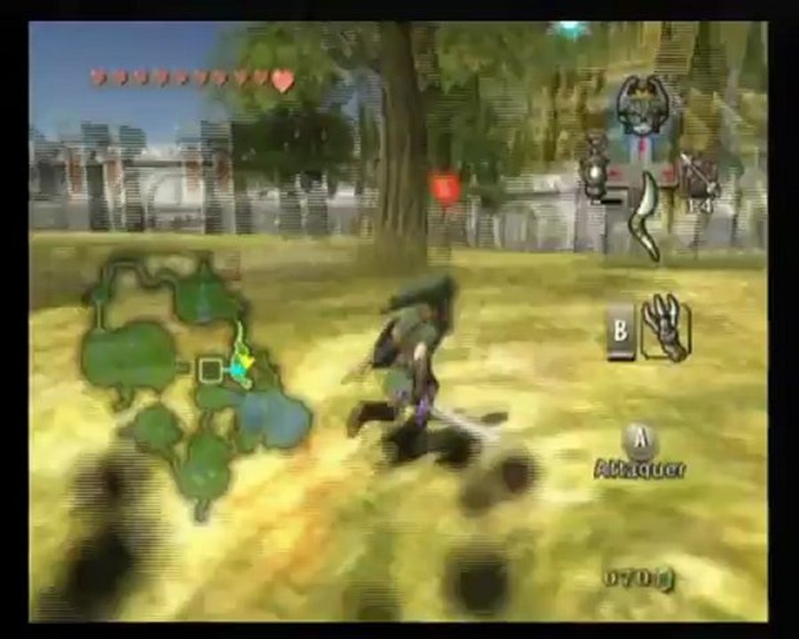 The legend of Zelda Twilight Princess [17] Les insectes dorés