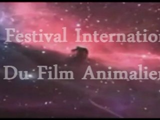 Bande annonce FIFA (fictive , BA fiche)