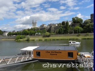bord de la Maine à Angers