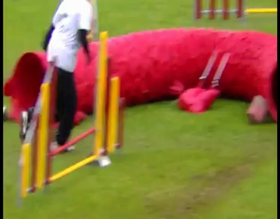 trophée par équipe 2012 Ploërmel agility 2ème manche ah non pas ça