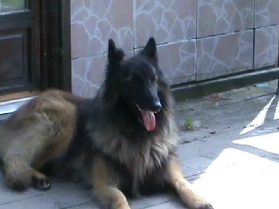DAIKI2