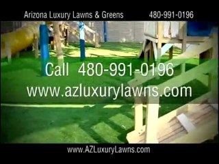 Upgrade Your Yard with Premium Synthetic Grass from AZ Luxury Lawns & Greens 🌿