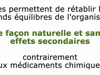 Les remèdes naturels que l’Union Européenne et les multinationales pharmaceutiques veulent vous interdire