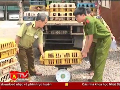 ANTÐ - Bắt giữ xe chở gần 4 tấn gà lậu vào Hà Nội