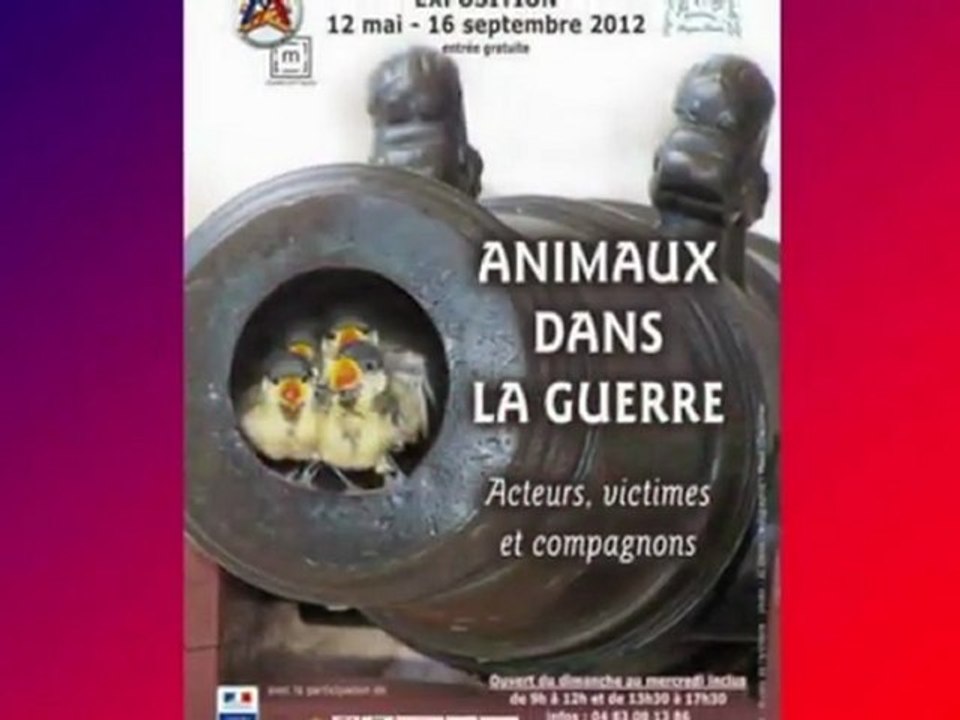 Presentation Exposition Animaux dans la guerre