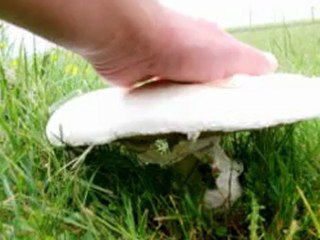 Prévision météo du Mer 23 mai 2012